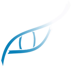 Logo de Animal Vision